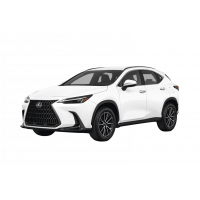 Lexus NX new 2023