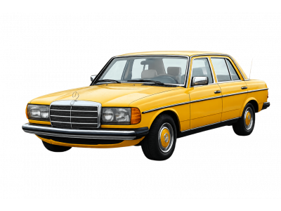 Mercedes-Benz W123 E 200 D - Пауль