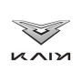 Kayi